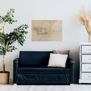 Posters de mapas do Espírito Santo (vários modelos)