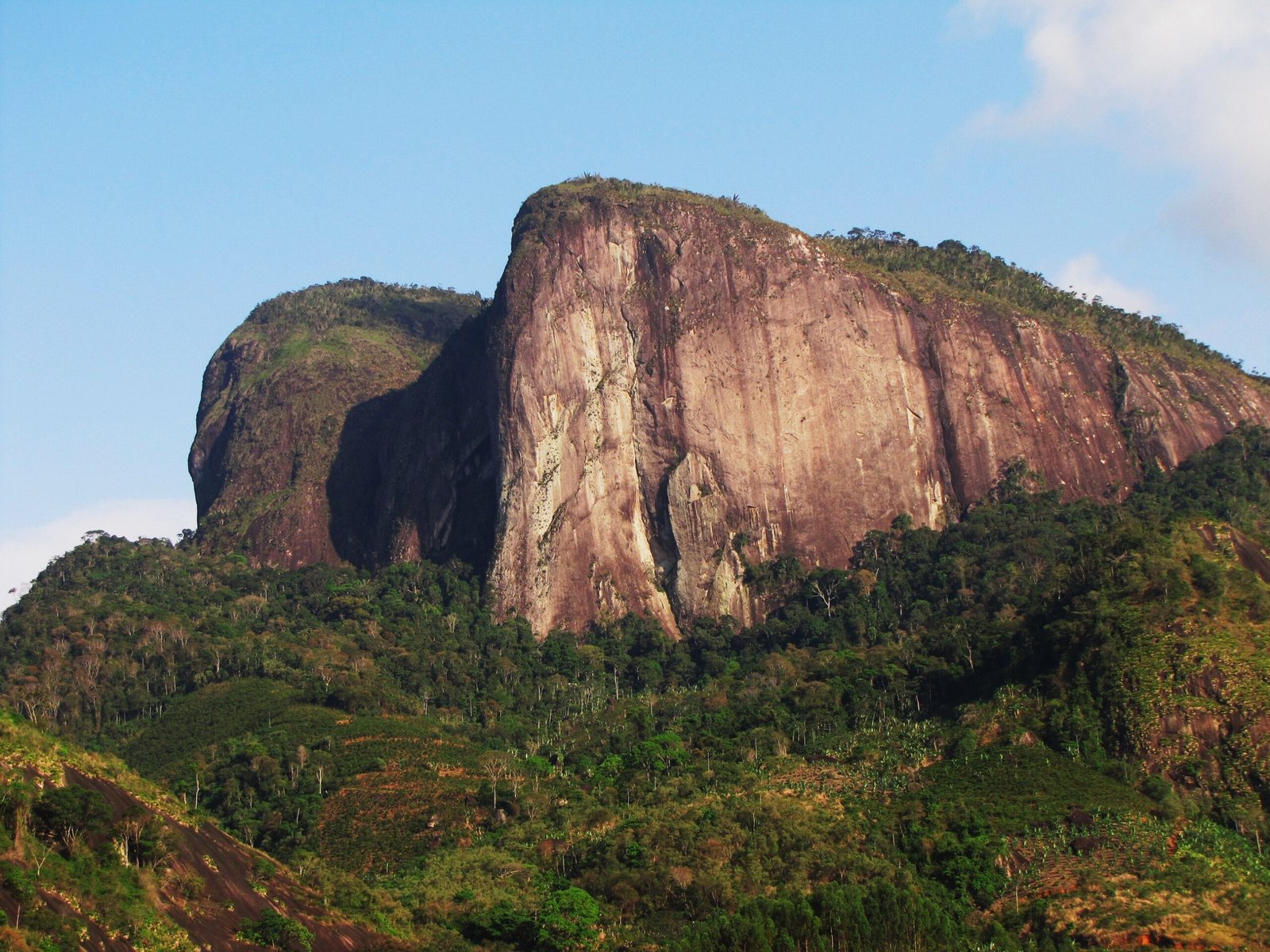 uc-apa-goiapaba-acu-scaled